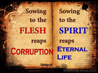 Galatians 6:8